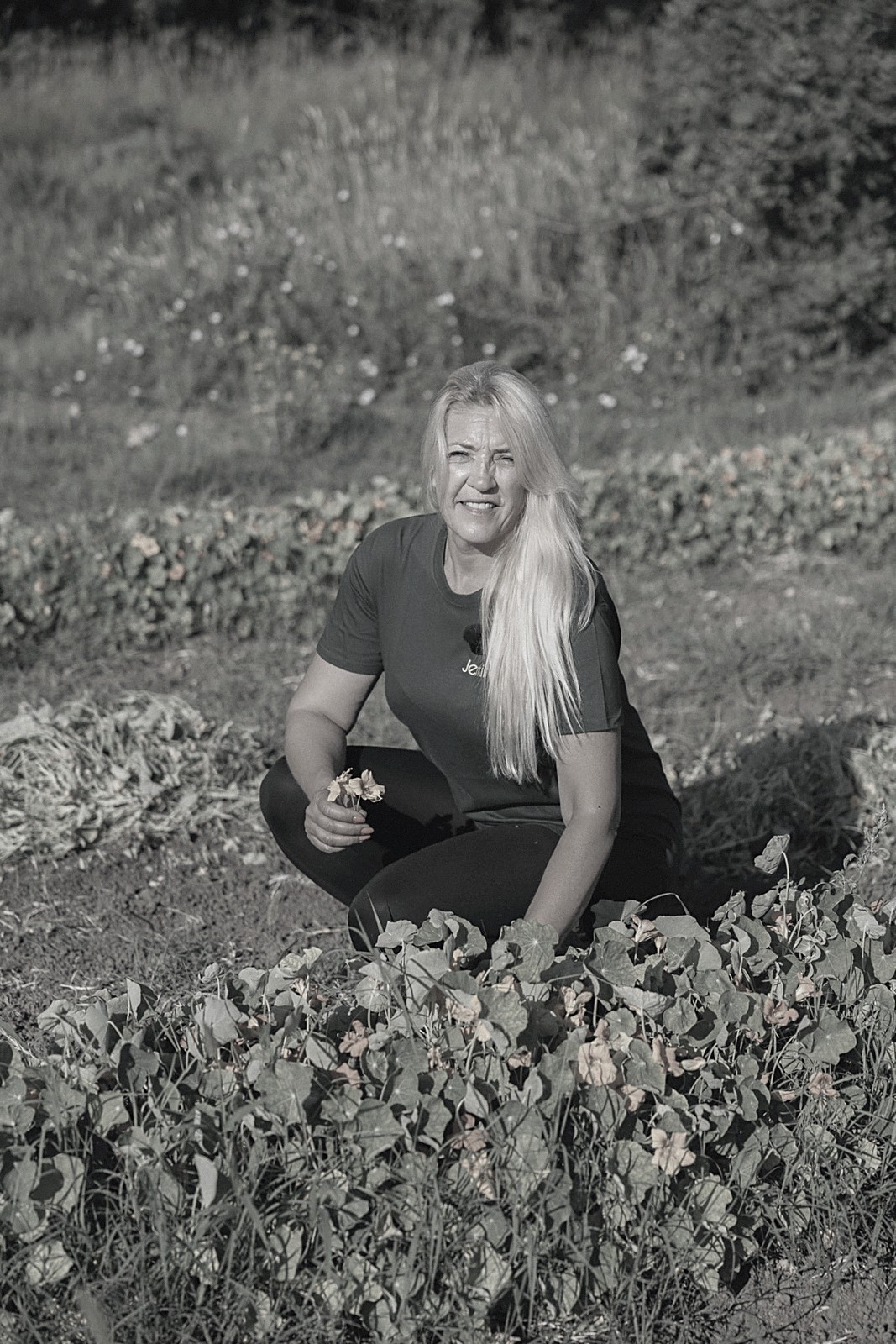 Jerkin Ljekovito bilje: Žena čuči u gredici s cvijećem i bere žuto jestivo cvijeće.